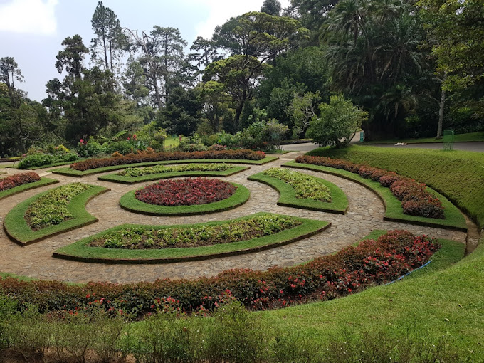 Hakgala Botanical Gardens 